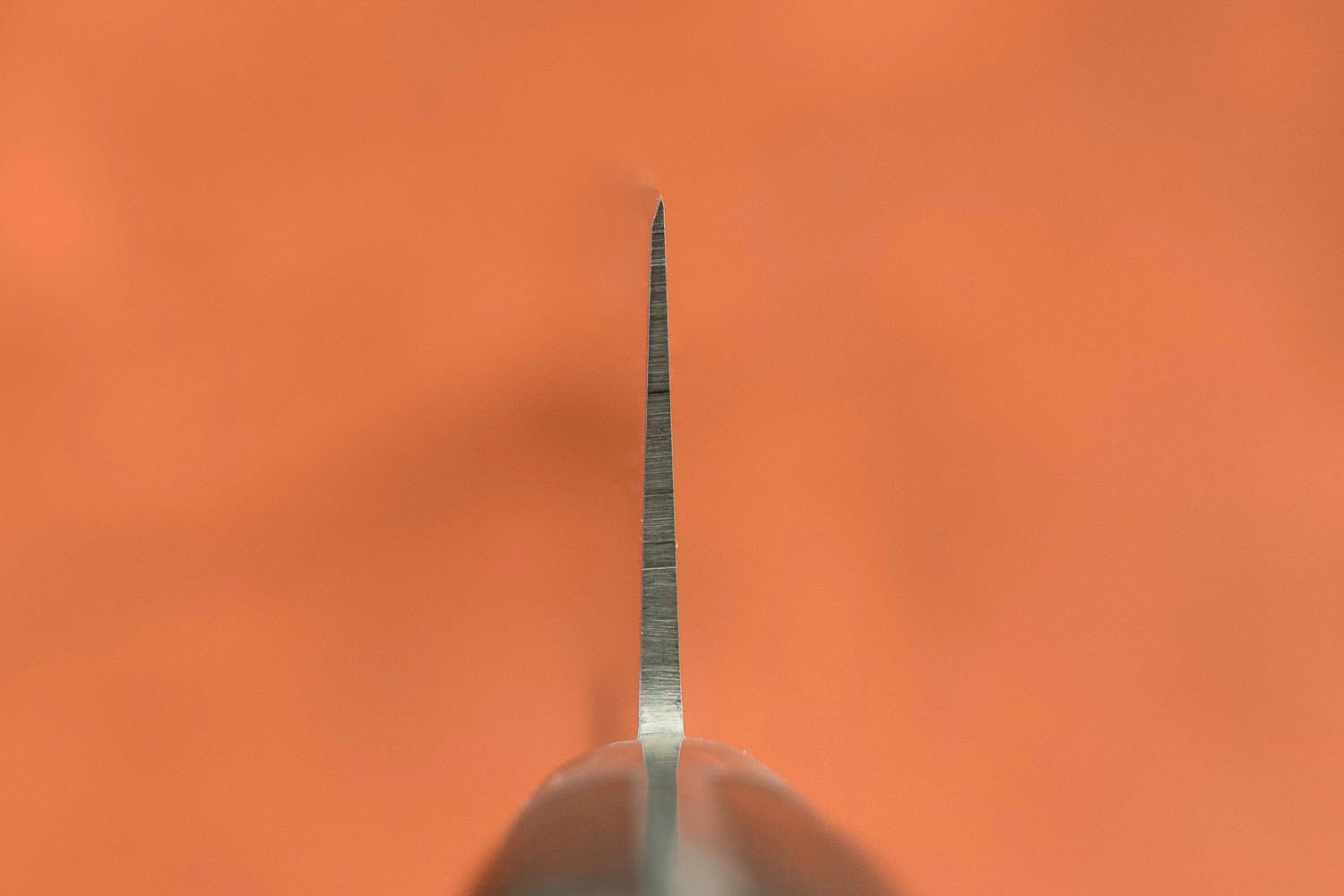 Premium Sakai Takayuki SK4 Sujihiki 270mm Japanese Slicing Knife - Professional Sushi & Meat Carving Knife for Chefs, Home Cooks - Perfect for Sashimi, Roasts & Delicate Food Preparation