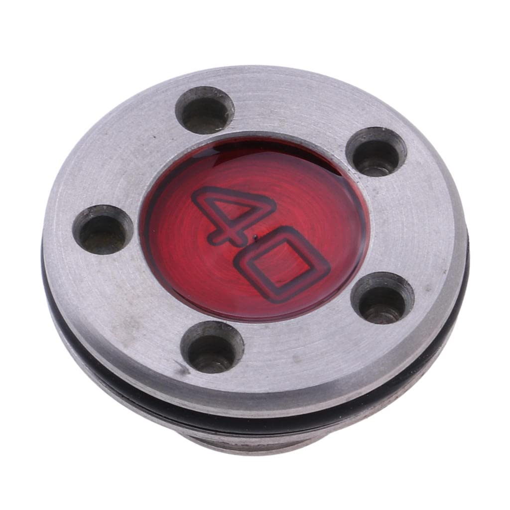 LEIPUPA Golf Putter Weights Screw Kit - Compatible with Scotty Cameron Squareback Putter - Improve Swing Balance & Accuracy for Better Putting Performance on the Green