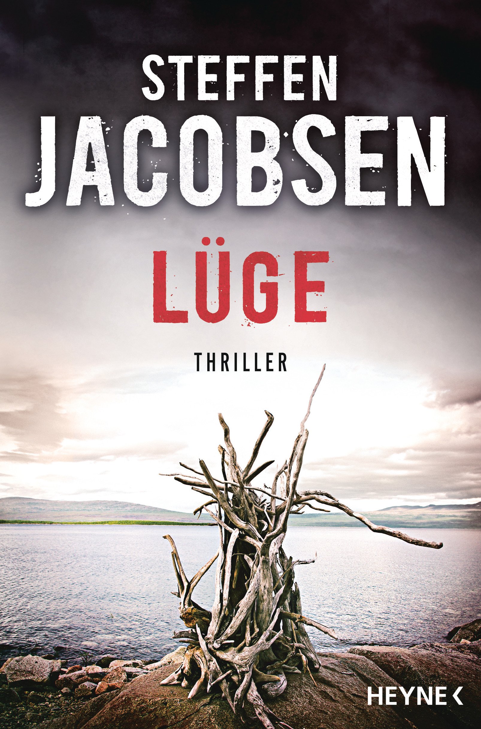 Lüge: A Gripping Psychological Thriller Novel - Perfect for Mystery Lovers & Book Club Discussions