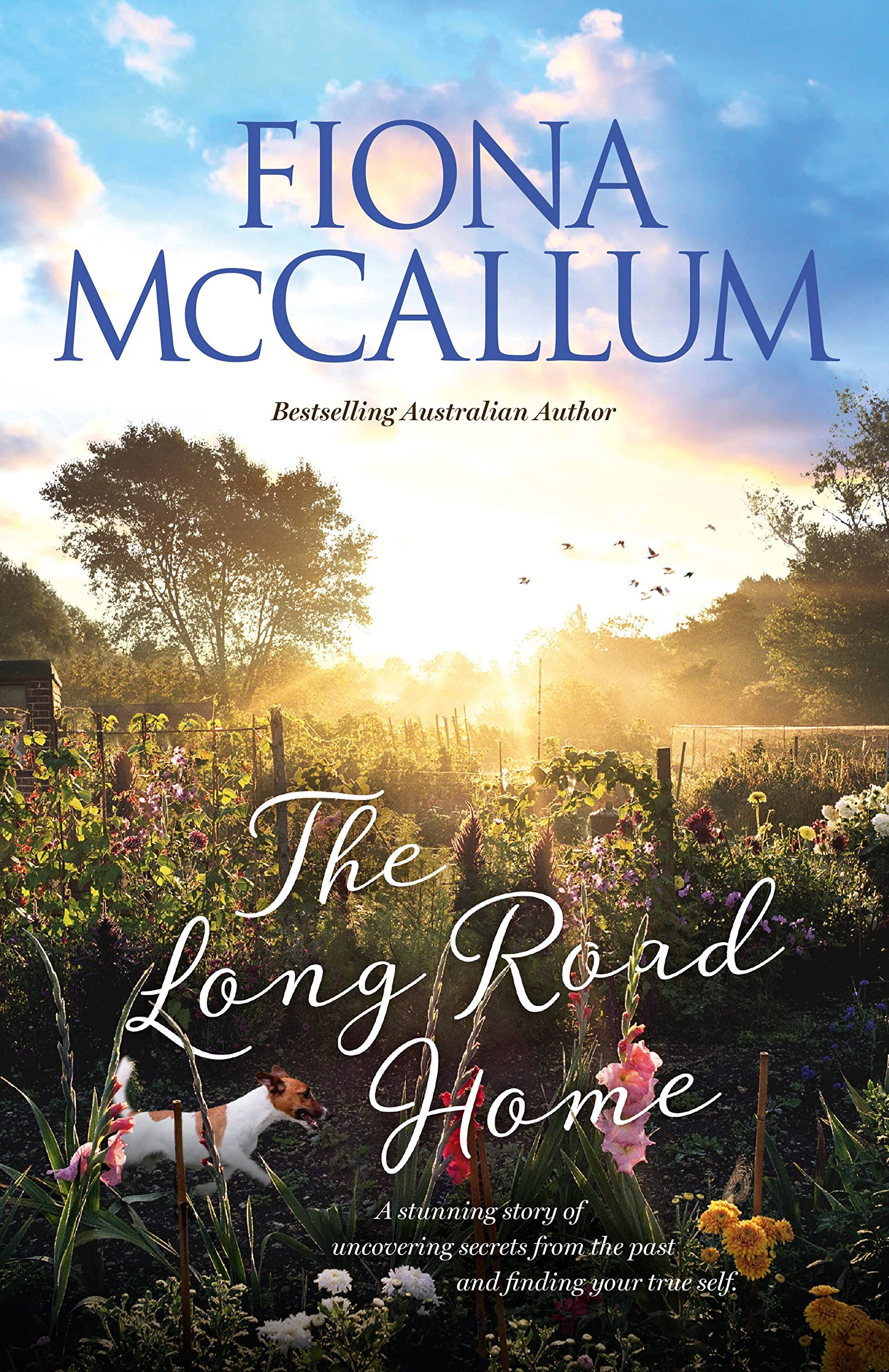 The Long Road Home - Best-Selling Novel by Martha Hall Kelly | Historical Fiction Book for Book Clubs & Reading Enthusiasts | Perfect for Gifts & Relaxing Evenings