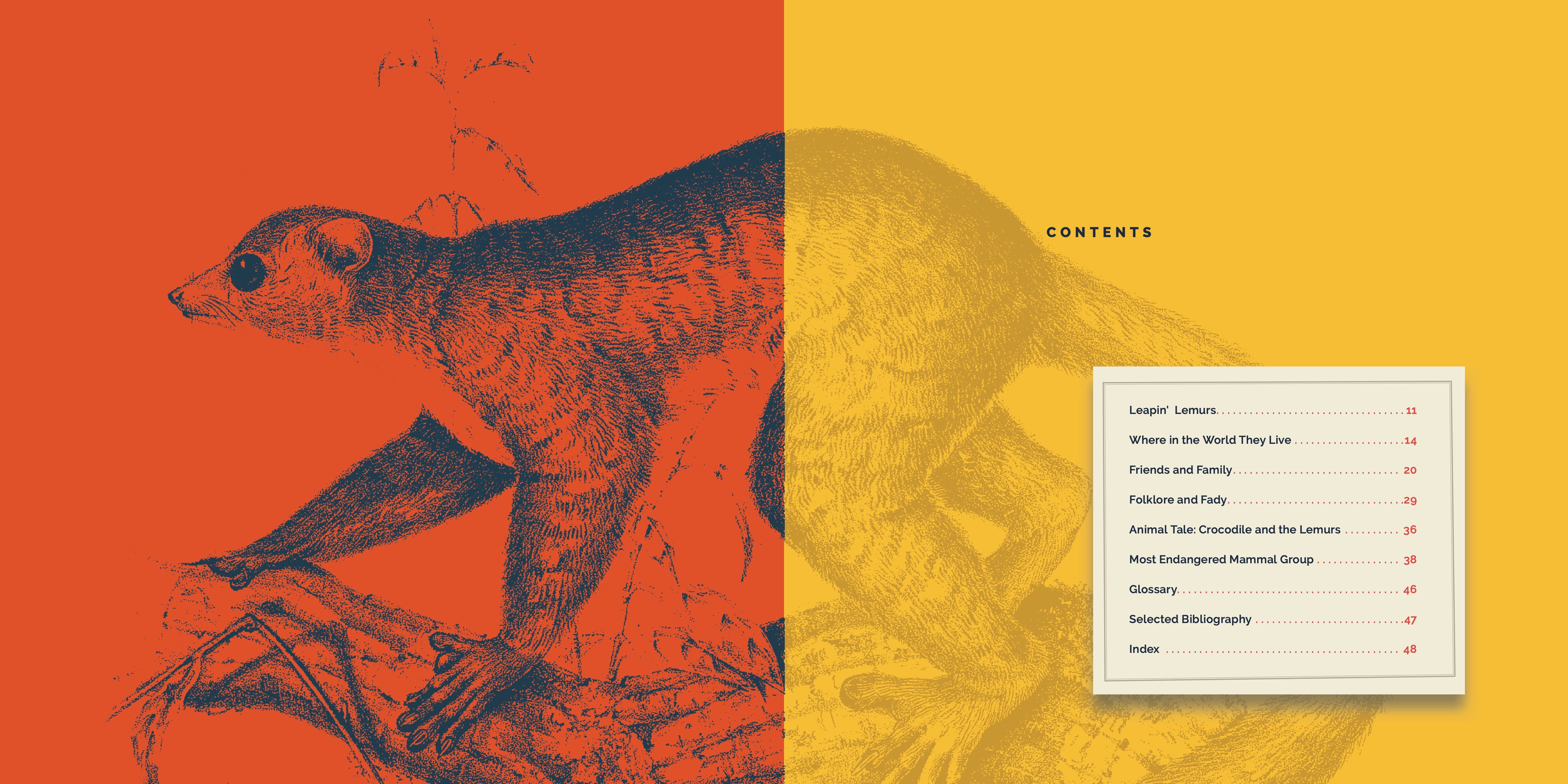 Lemurs Book - 9781640267909 - Learn About Lemurs, Their Habitat, and Conservation - Perfect for Animal Lovers and Wildlife Enthusiasts
