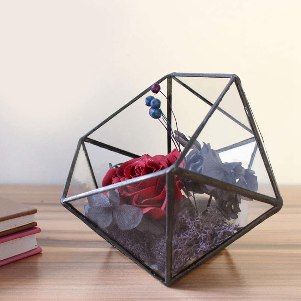 Geometric Glass Terrarium Planter - Unique Succulent & Fern Display for Home & Office Decor | Perfect for Moss, Air Plants & Miniature Landscapes