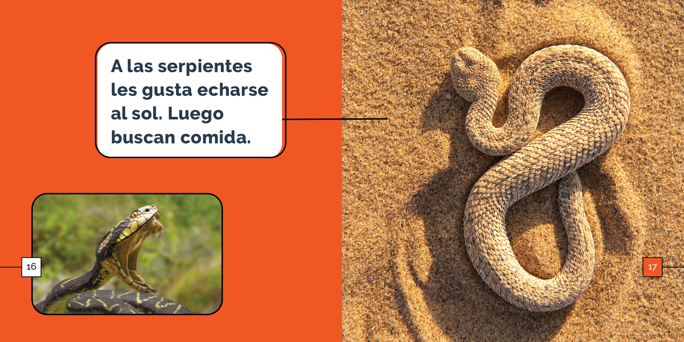 Las Serpientes Book - 9798889891031 - Perfect for Reptile Lovers & Spanish Language Learning | Great for Classroom, Library & Gift Giving