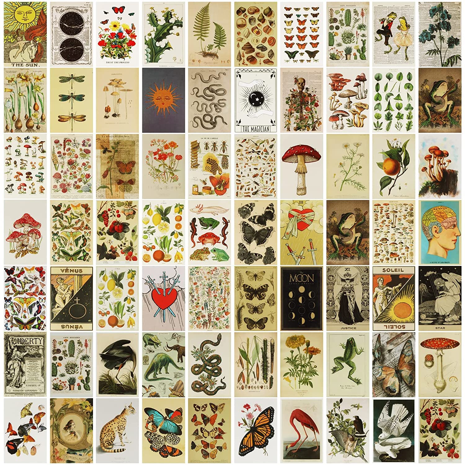 Vintage Wall Collage Kit - 70 Pcs Aesthetic Pictures & Rustic Posters for Room Decor, Bedroom Wall Art, Photo Collage Set for Home, Dorm, Office, Cafe & DIY Projects