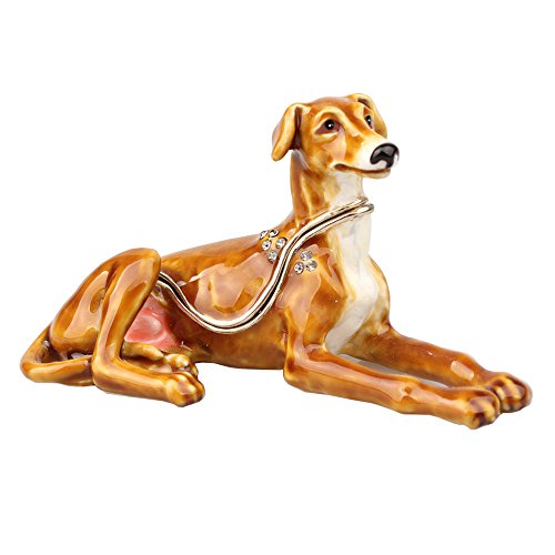 Labrador Dog