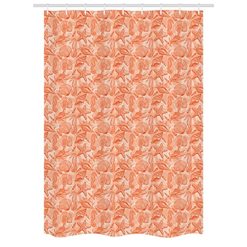 Burnt Sienna Pale Orange