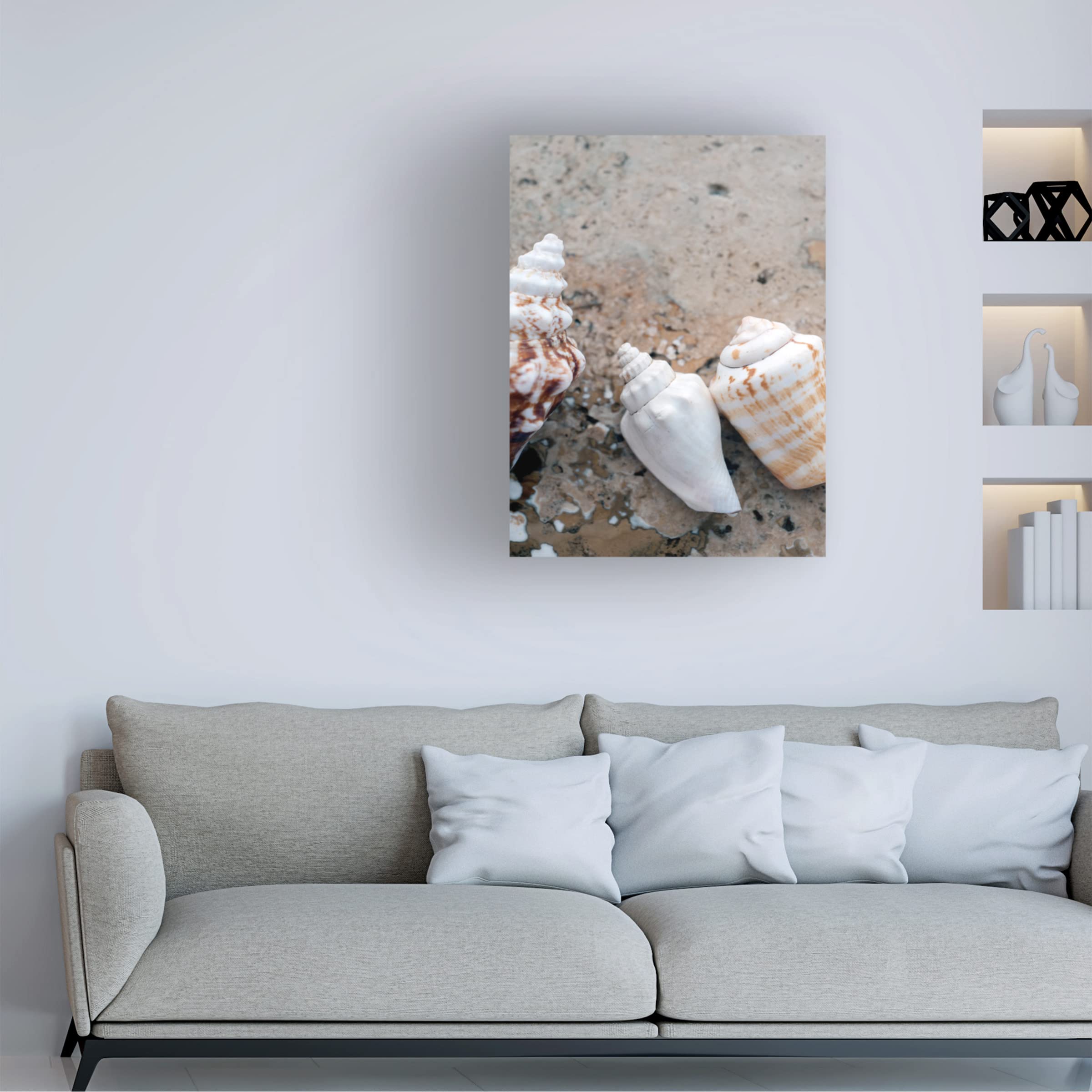 Elena Ray 'Gifts Of The Shore IV' Canvas Wall Art Print - Coastal Beach Decor for Living Room, Bedroom & Office - Trademark Fine Art Collection