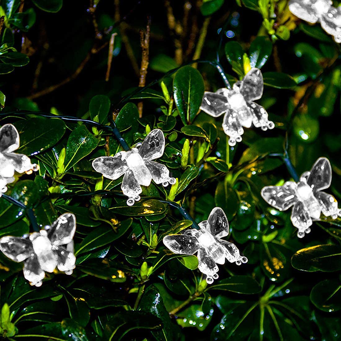 Solar Powered Butterfly String Lights - 23FT 50LED Waterproof Outdoor Fairy Lights with 8 Lighting Modes for Garden, Patio, Wedding, Party & Christmas Decor (White) - Perfect for Backyard, Balcony and Indoor Home Decorations