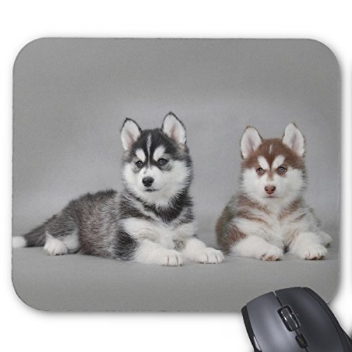 Julyou Mousepad with Cute Siberian Husky Puppies Design - Non-Slip Gaming Mouse Mat for PC, Laptop, Office & Home Use - Perfect Gift for Dog Lovers