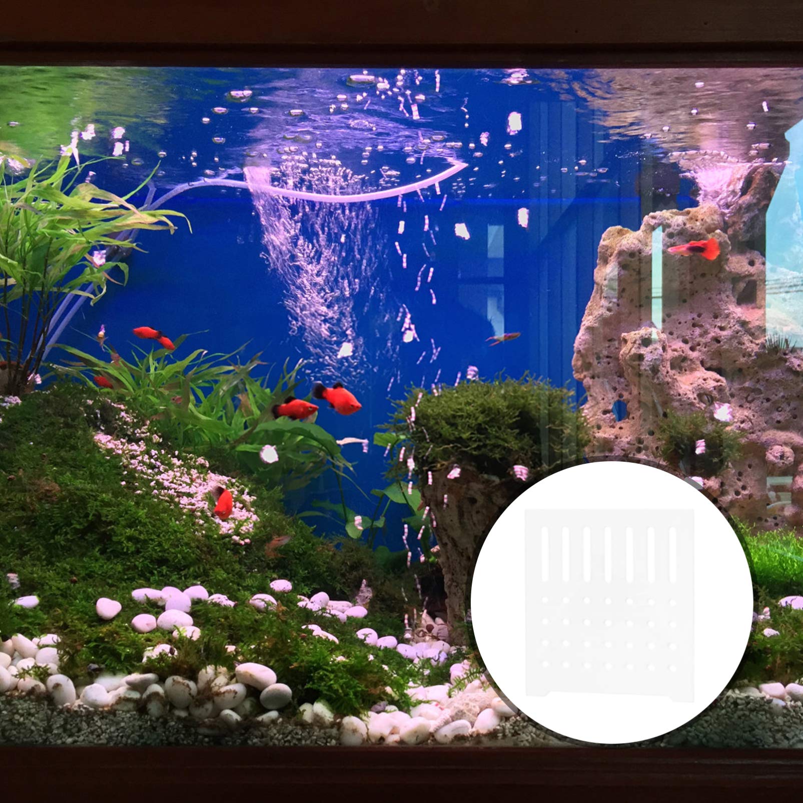 Balacoo Clear Acrylic Aquarium Divider Panel - Fish Tank Separator Grid for Bottom & Breeding