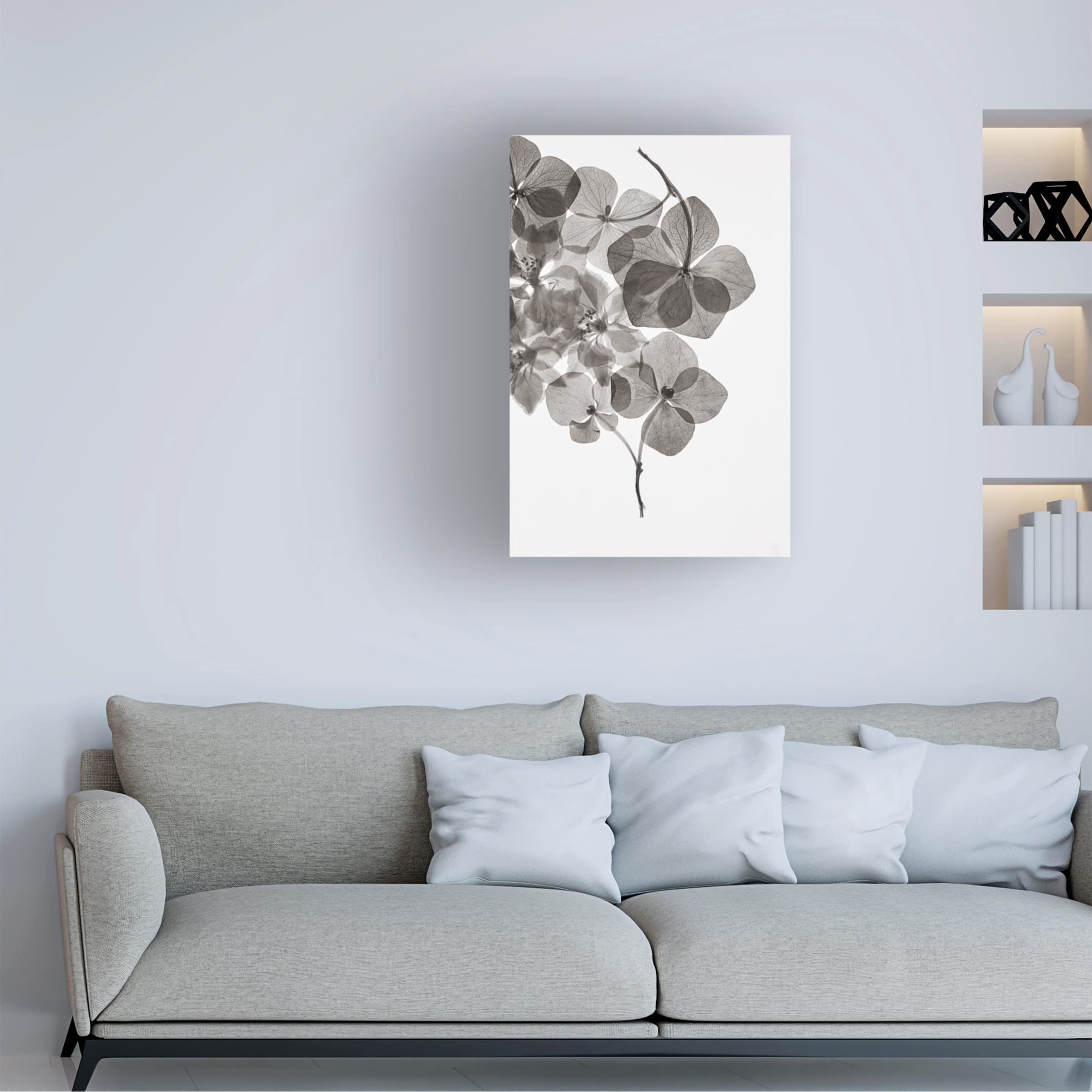 Trademark Fine Art 'Botanical 24' Canvas Wall Art Print by Lenka - Floral Nature Decor for Living Room, Bedroom & Office
