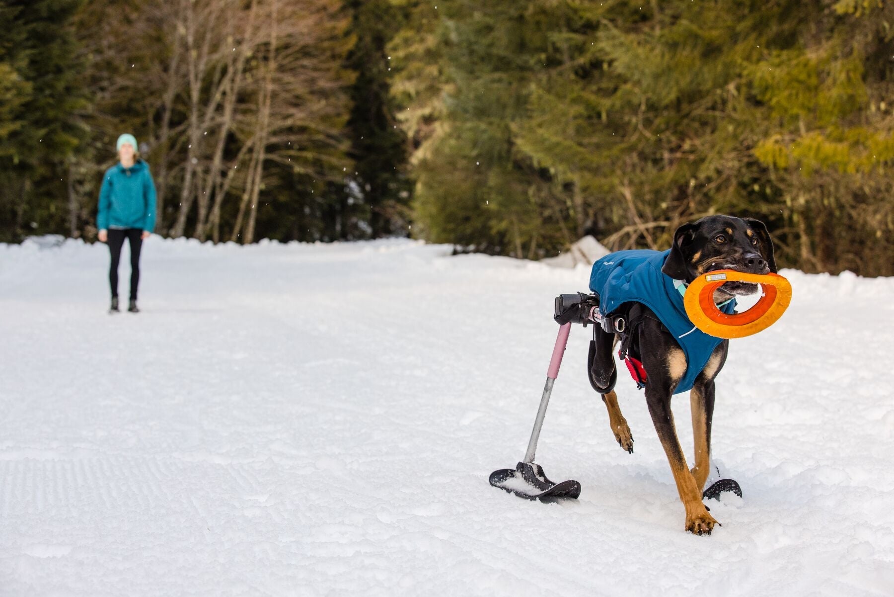 Ruffwear Hydro Plane™ Floating Dog Disc - Orange (Campfire Orange) - Waterproof & Buoyant Fetch Toy for Dogs - Perfect for Pool, Beach & Outdoor Play