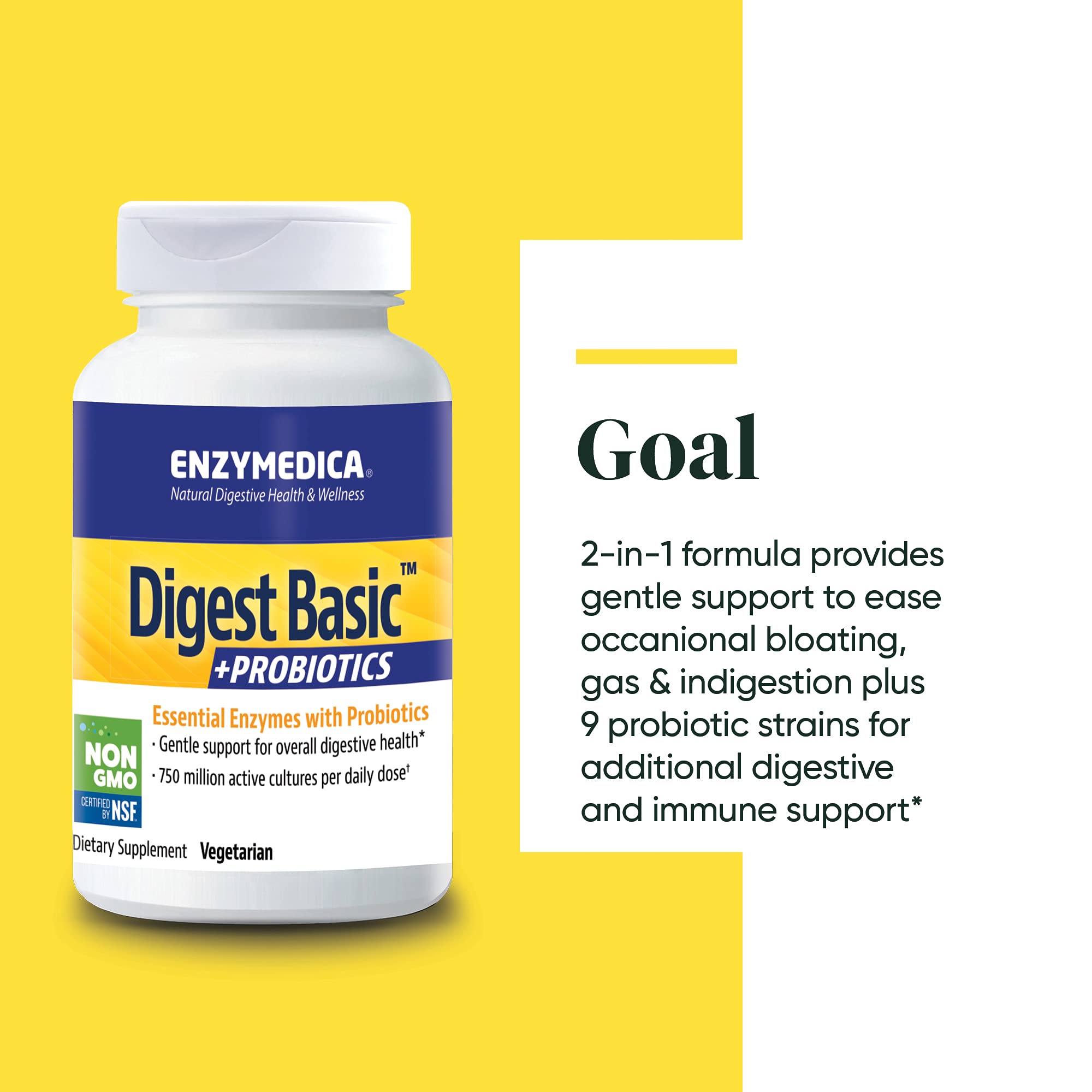 Enzymedica Digest Basic + Probiotics 30 Capsules - Digestive Enzyme Supplement with Probiotics for Gut Health & Bloating Relief - Supports Digestion After Meals & Travel