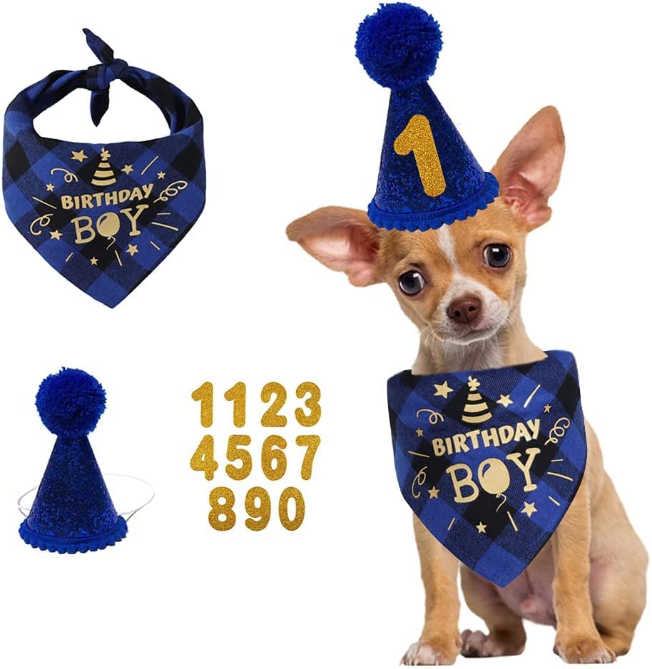 Dog Birthday Party Set - Cute Dog Bandana Scarf with Birthday Hat & Banner - Blue Dog Birthday Supplies for Small & Large Dogs - Perfect for Puppy Birthday Celebrations & Photo Shoots
