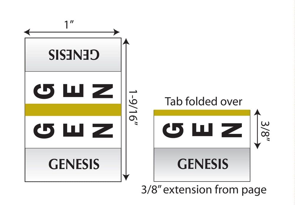 20-Pack Large Print Silver-Edged Bible Indexing Tabs with Display - 84 Tabs for Old & New Testaments (64 Books & 20 Reference Tabs) - Perfect for Bible Study, Church Services & Personal Scripture Organization (58344)