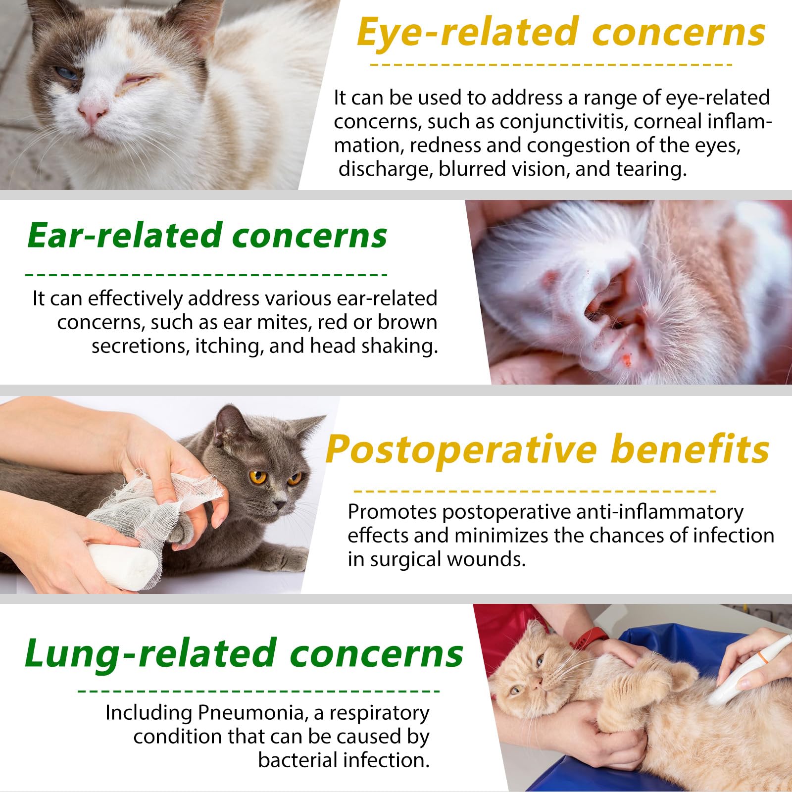 **60ml Cat Antibiotics for Infections - Immune Support & Allergy Relief - Vitamin Paste & Ointment for Cats - Ideal for Wound Care & Respiratory Health**
