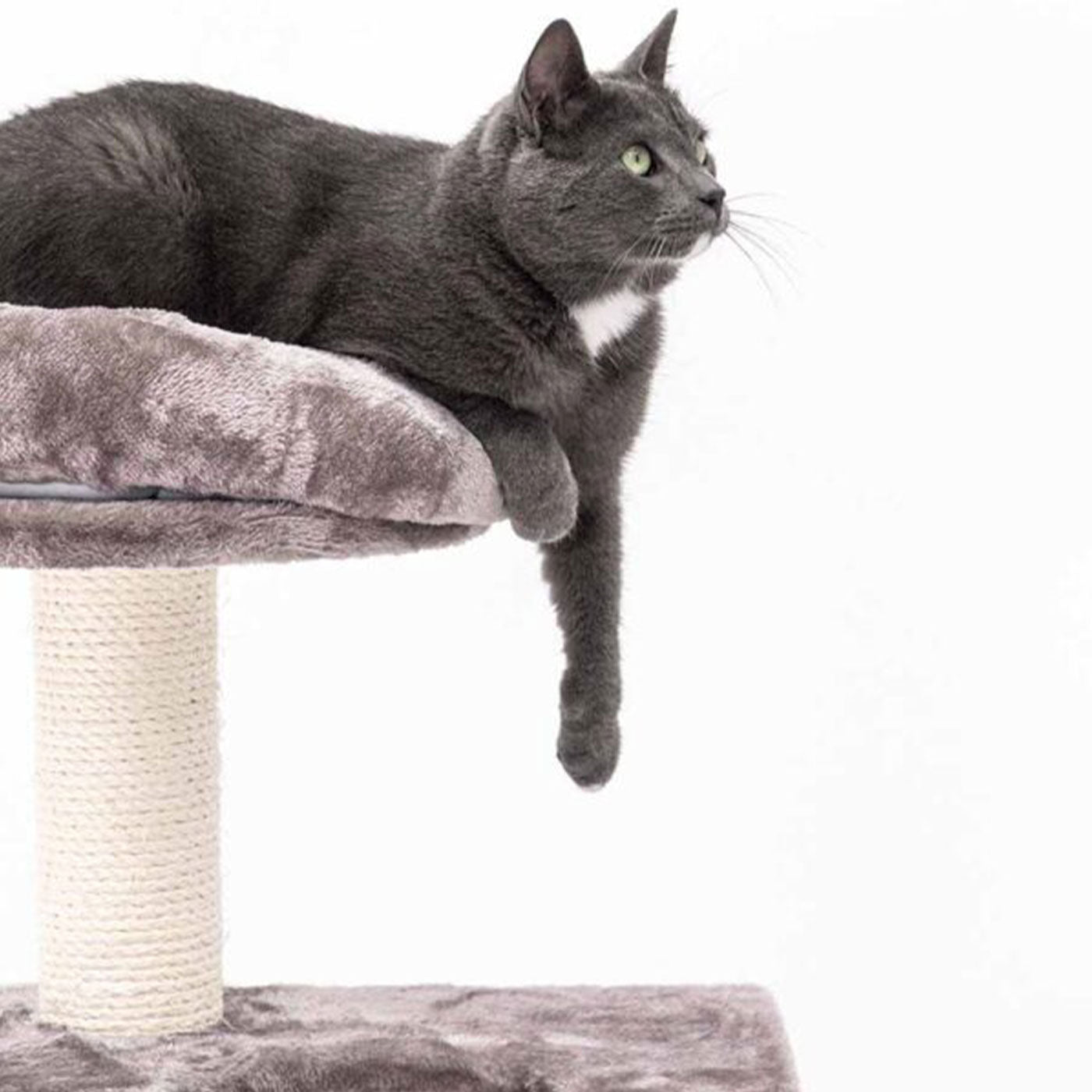 Little Rebels Seattle 89cm Cat Tree with Scratching Posts & Perches - Premium Cat Climbing Tower for Indoor Cats - Perfect for Small Spaces & Playtime
