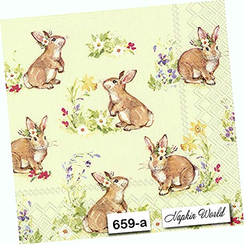 Easter Bunny Rabbit Paper Napkins - 6.5