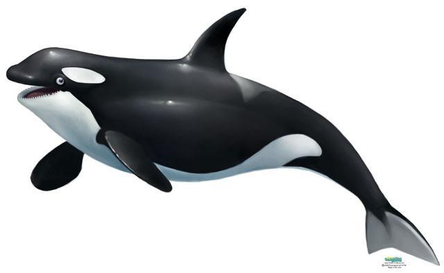 Stunning Killer Whale Wall Mural - Realistic Ocean Wildlife Decal for Home & Office Decor | Perfect for Living Rooms, Kids' Bedrooms & Aquatic-Themed Spaces
