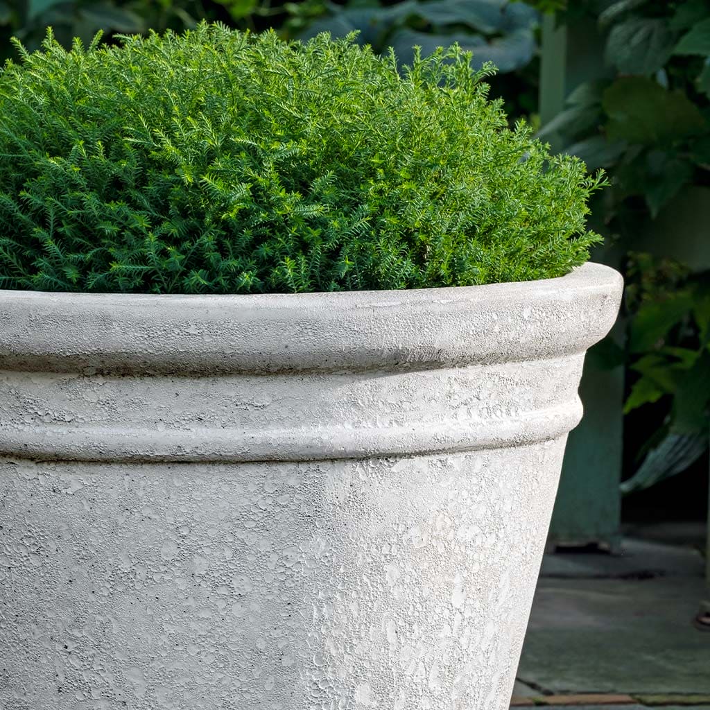 Campania International Marchand Planter Set of 3 - White Coral Ceramic Flower Pots for Indoor & Outdoor Plants - Perfect for Home Garden, Patio Decor, and Gift Giving