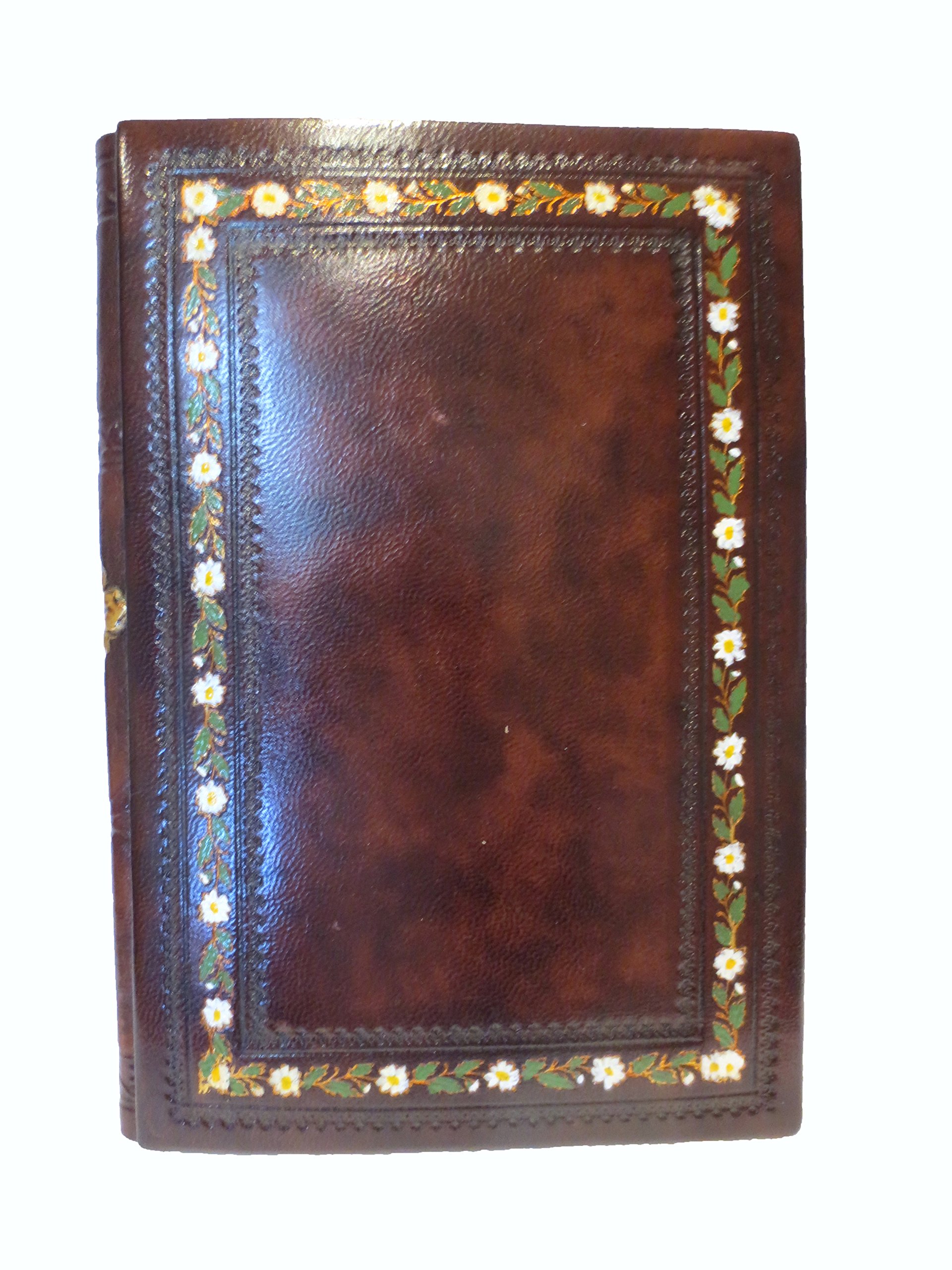 Hand Painted Daisy 6x9 Inch Floral Garden Journal - Perfect for Nature Lovers, Plant Tracking & Outdoor Adventures