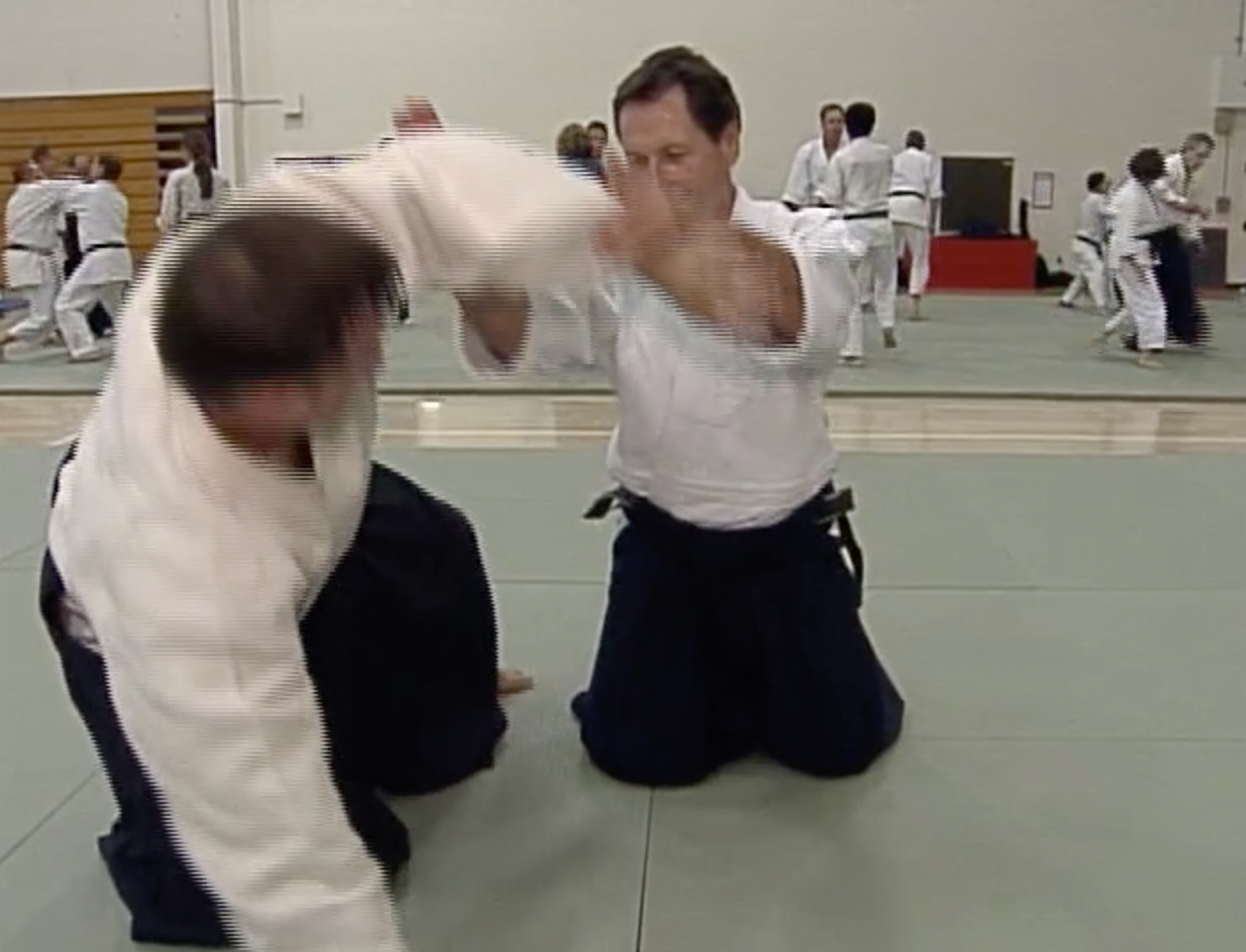 Aikido Odyssey DVD by Christian Tissier - Master Aikido Techniques & Training | Perfect for Martial Arts Enthusiasts & Home Practice