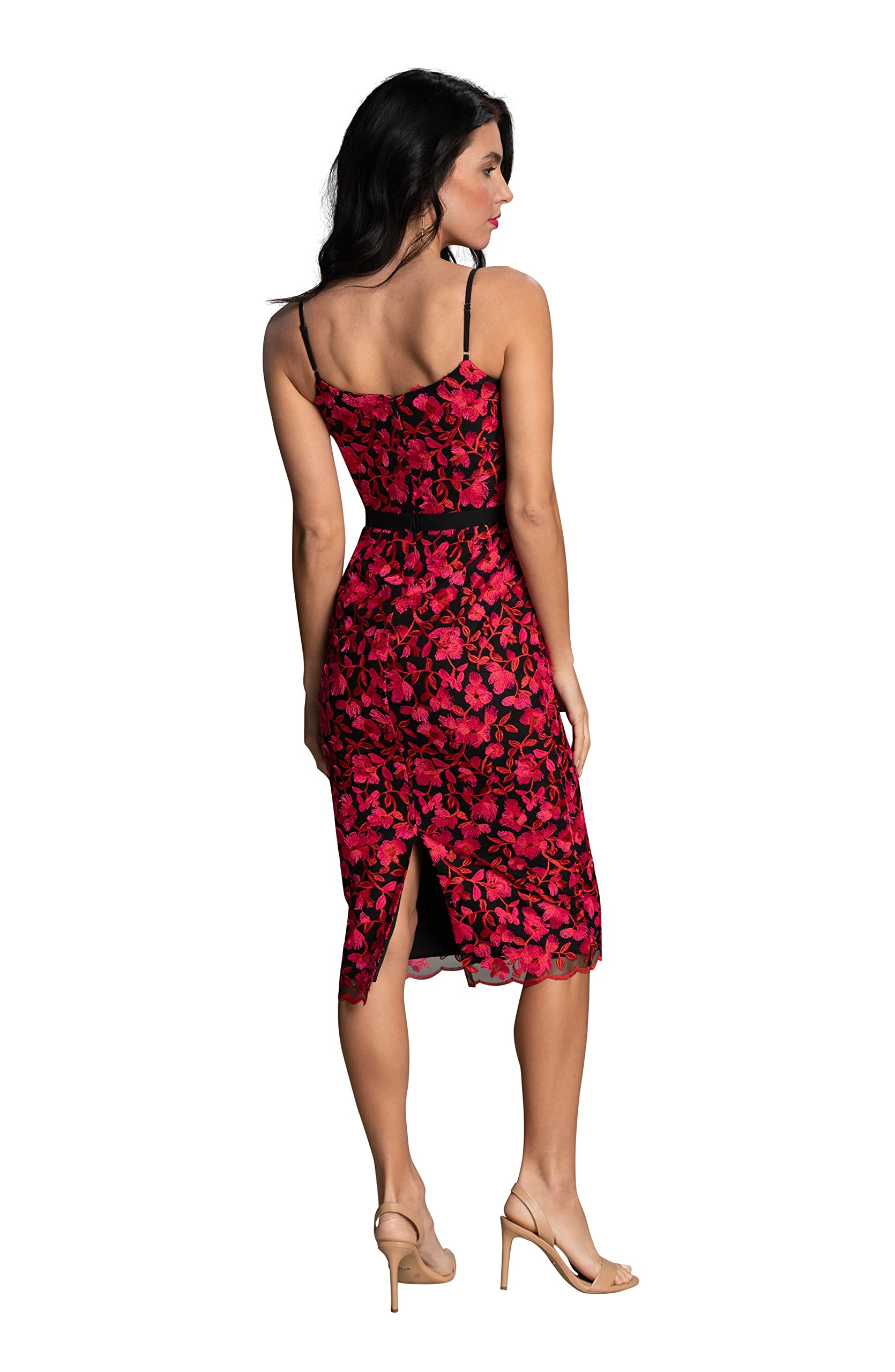 Dress the Population Women's Emma V-Neck Embroidered Sleeveless Belted Midi Dress - Elegant Cocktail & Wedding Guest Attire for Special Occasions