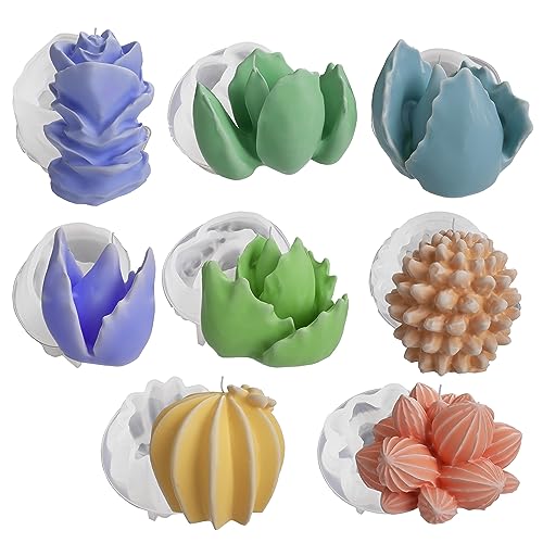 succulent-e2