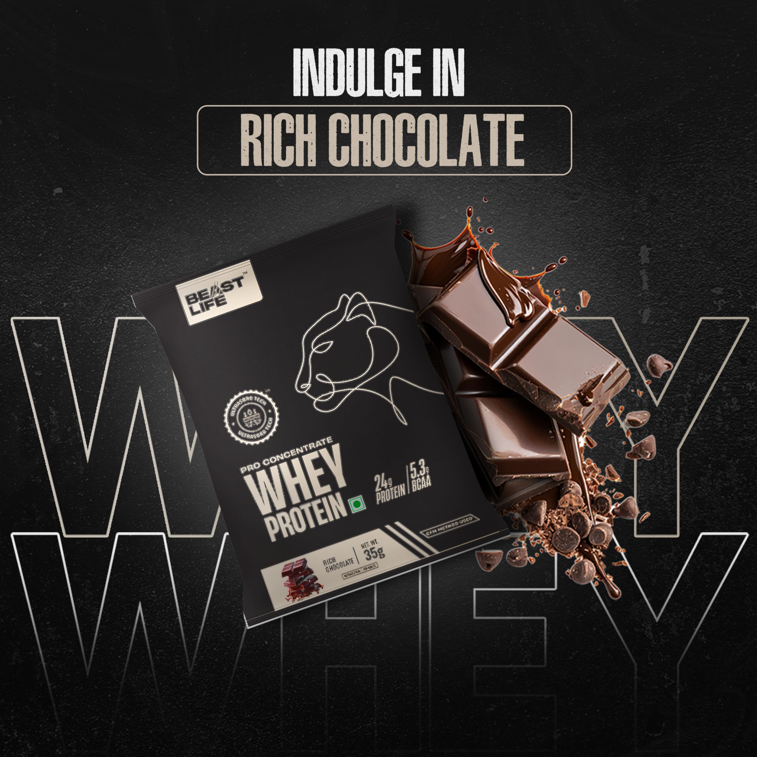 BeastLife Whey Protein Powder Chocolate Flavor 5 Servings (24g Protein per Serving) with Ultrasorb Technology - Portable Travel Sachets for Gym, Workout & On-the-Go Nutrition