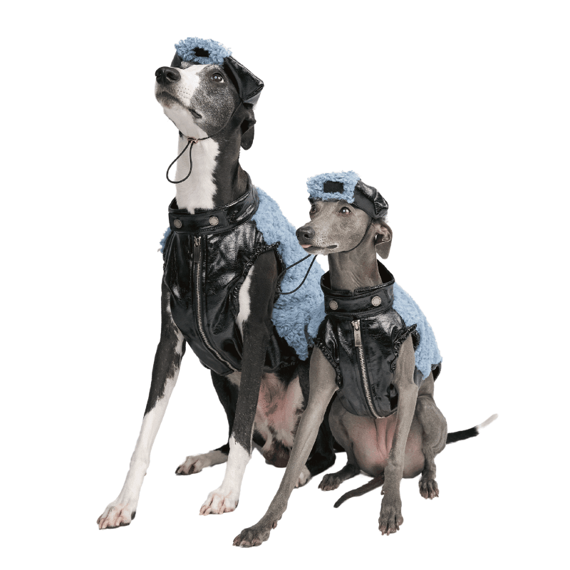 Stylish Oceania Dog Beret - Fashionable Pet Hat for Small & Medium Dogs - Perfect for Parties, Photos & Outdoor Adventures