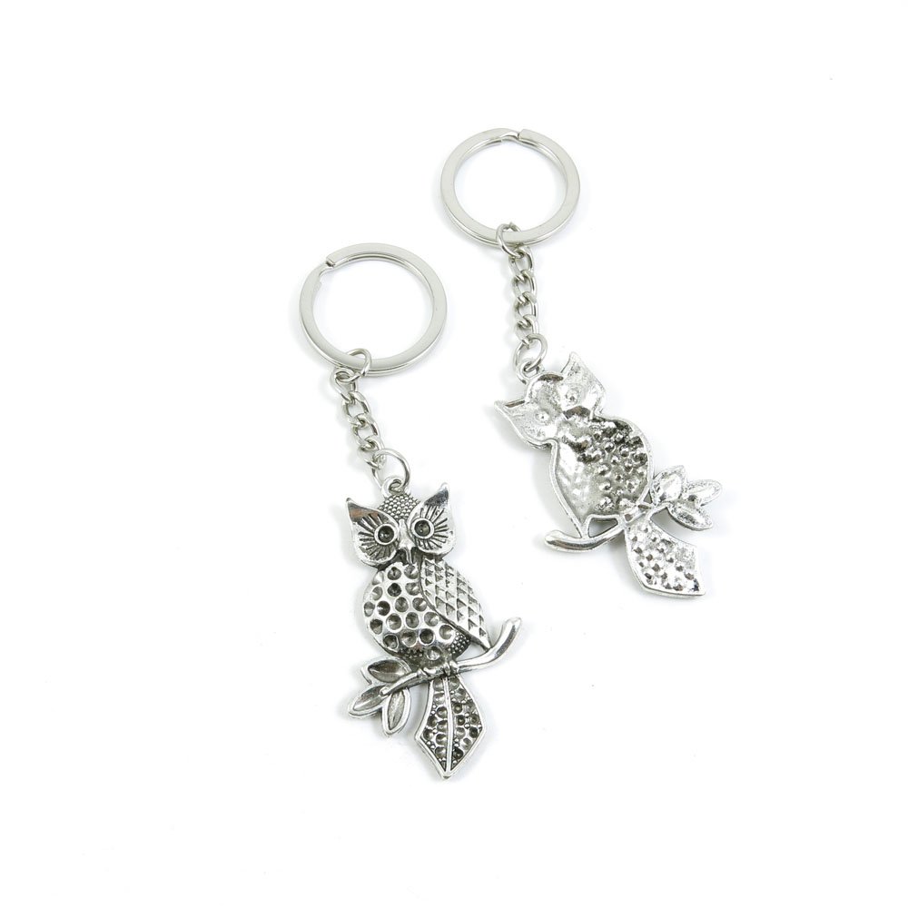Owl Keychain for Keys - 1 Pack Cute Animal Key Ring, Car Keychain for Women Men, Durable Metal Key Tag for Car Keys, House Keys, Backpacks & Gifts - Perfect for Everyday Use, Key Organization & Unique Present