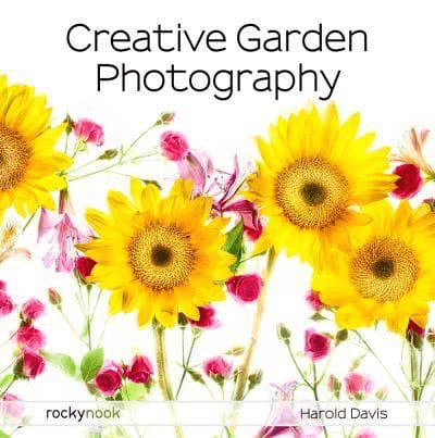 Creative Garden Photography - Stunning Nature & Floral Photo Prints for Home & Office Decor | Perfect for Wall Art, Gifts & Interior Design