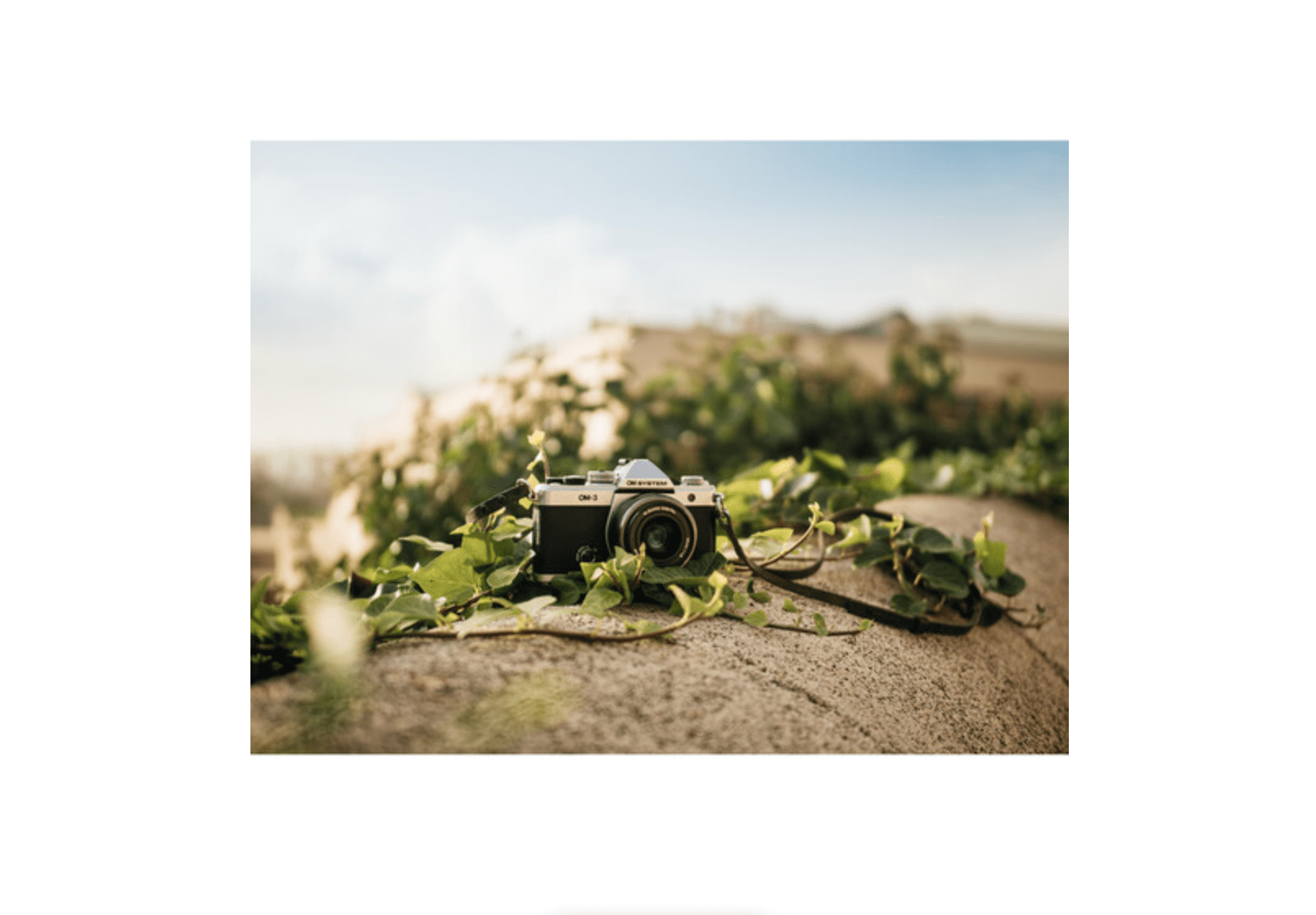 OM System M.Zuiko Digital 25mm F1.8 II Lens - Fast Prime Portrait Lens for Micro Four Thirds Cameras | Perfect for Low Light Photography, Street & Travel Shooting