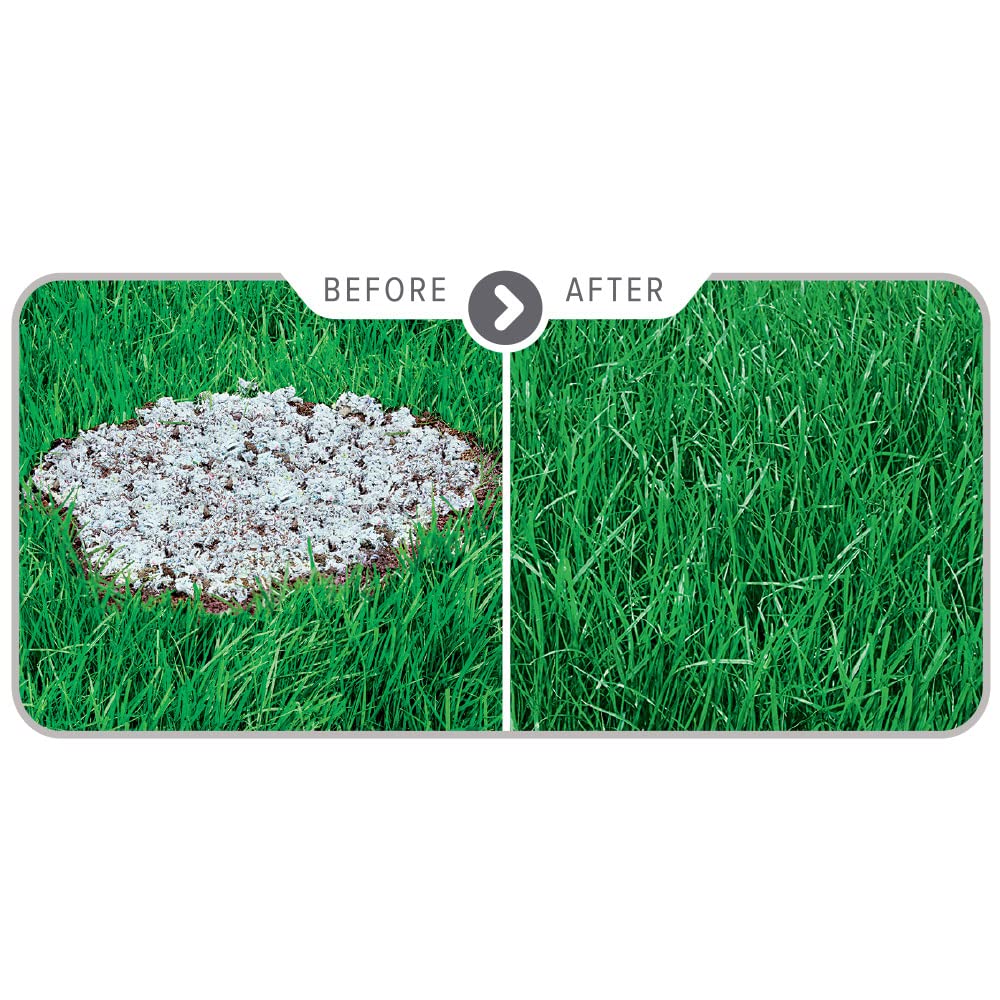 Scotts PatchMaster Sun & Shade Lawn Repair Mix - 4.75 lb Bag with Grass Seed, Fertilizer & Mulch for Fast Lawn Repair - Perfect for Bare Spots, Dog Damage & High Traffic Areas in Yards