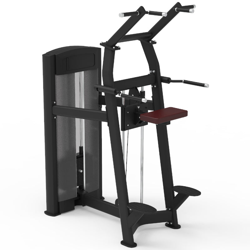 Pegasus 2S 2-in-1 Pin Loaded Assisted Chin Up & Dip Station - Home Gym Equipment for Strength Training and Bodyweight Exercises
