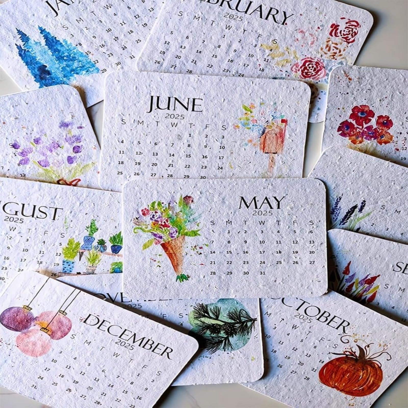 2025 Plantable Seed Calendar - Eco-Friendly Greenery Planner with Growable Herbs & Flowers | January to December Monthly Organizer | Perfect for Home Office, Kitchen & Sustainable Gardening Gifts