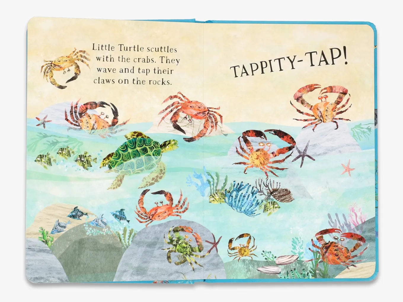 Little Turtle's Book of the Blue - The Big Book Series | Ocean Adventure Storybook for Kids | Perfect for Bedtime Reading & Classroom Learning