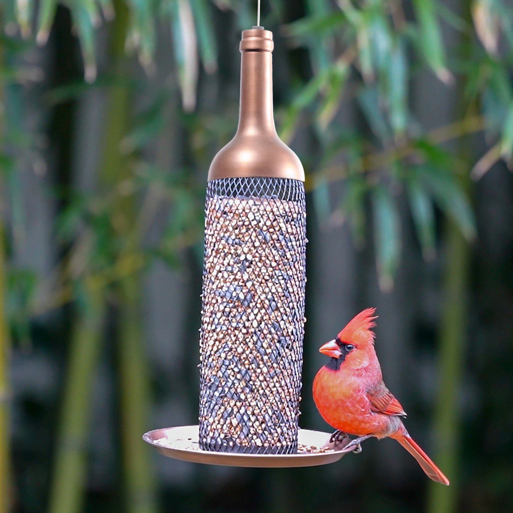 Premium Vineyard Select Bird Feeder - Durable Outdoor Hanging Feeder for Wild Birds - Attract Cardinals, Finches & Hummingbirds to Your Garden or Backyard