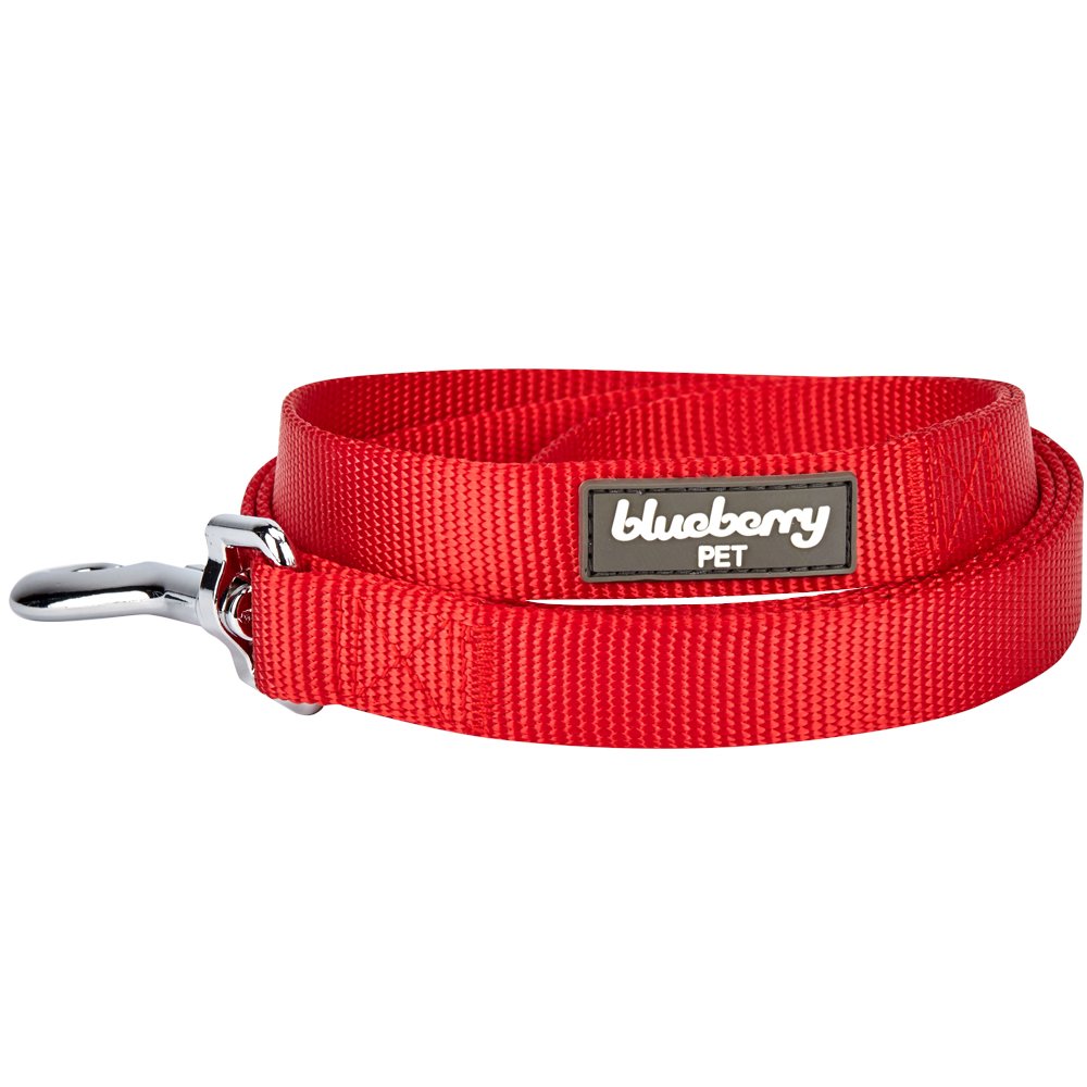 Durable Nylon Dog Leash for Small Dogs | 5ft x 3/8