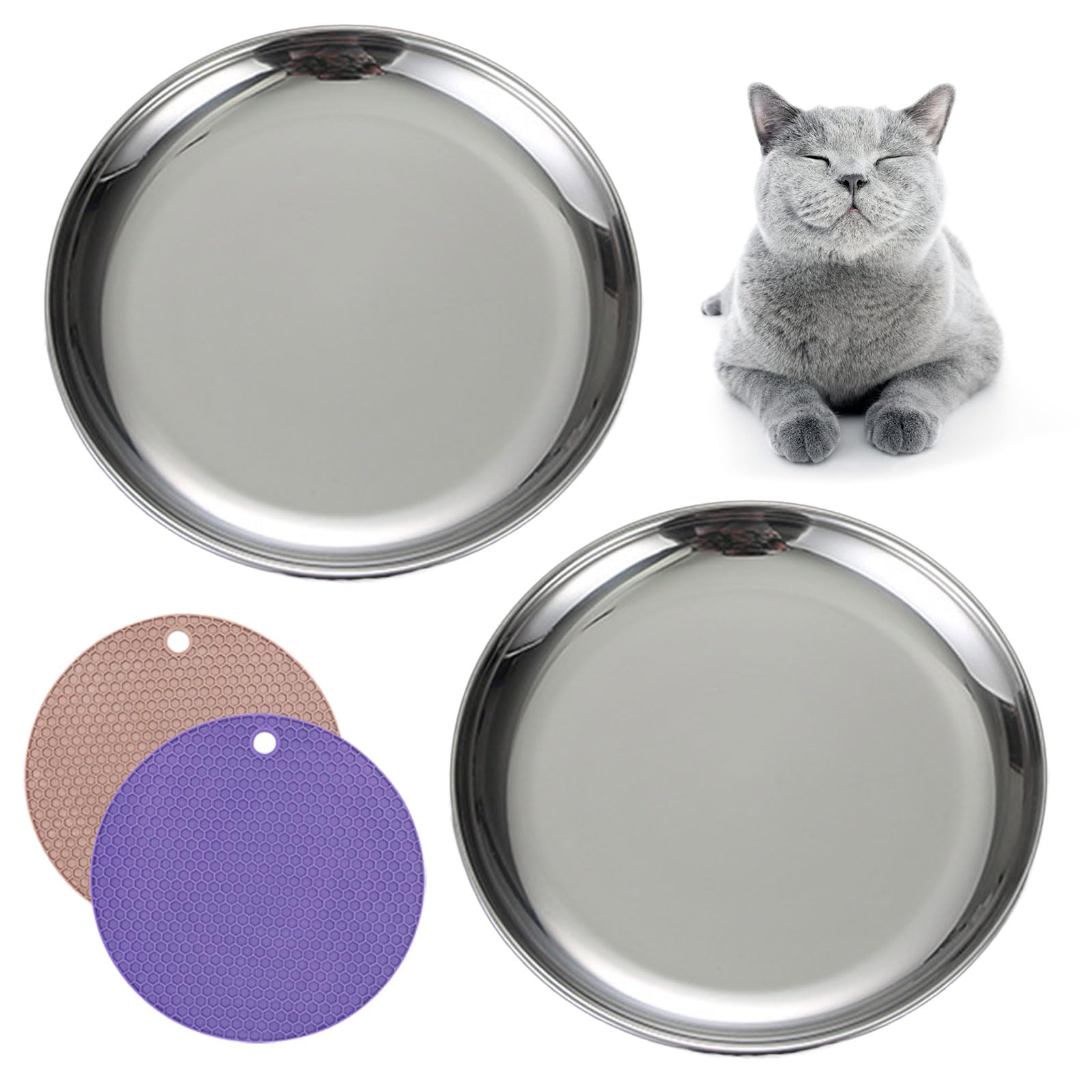 Premium Stainless Steel Cat Bowls for Wet & Dry Food - 2 Pack Medium Shallow Dishes with Non-Slip Mats, Whisker Fatigue Relief - Perfect for Kittens & Adult Cats at Home or Travel
