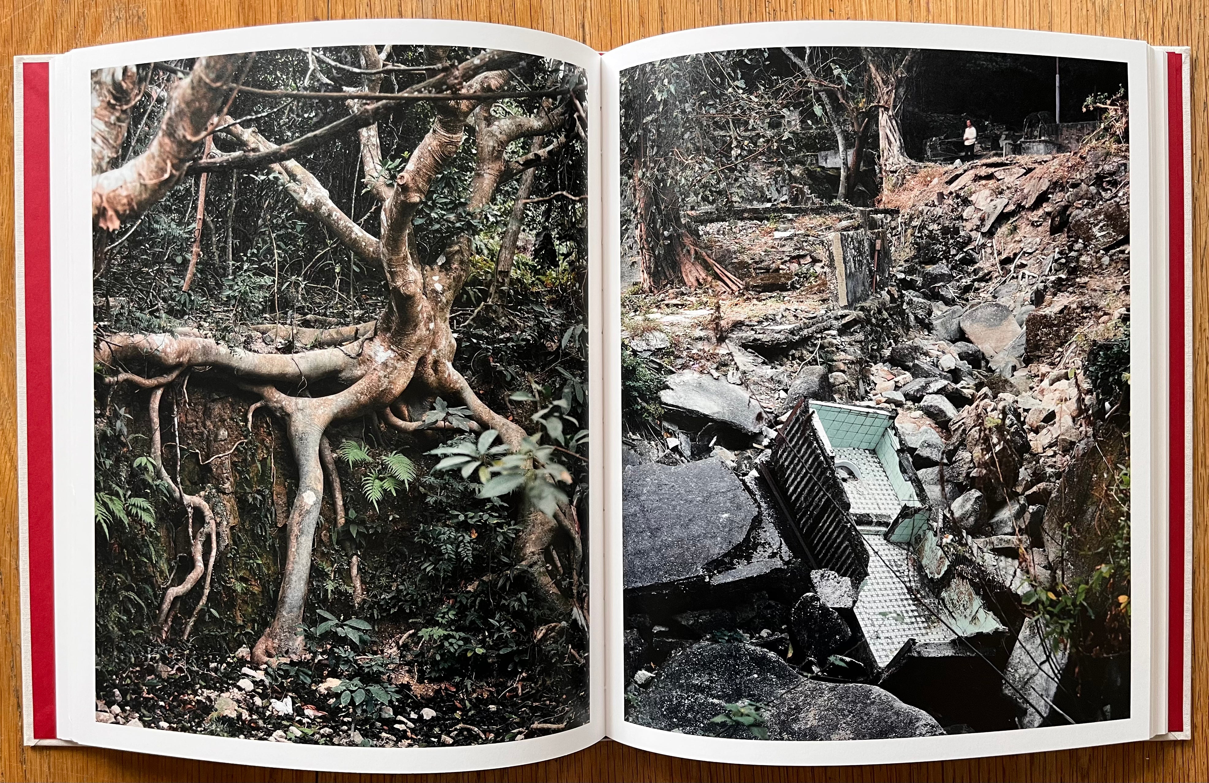 Hong Kong After Hong Kong - Exploring the Future of Hong Kong Culture | Books on Hong Kong History & Identity | Perfect for History Buffs & Cultural Enthusiasts