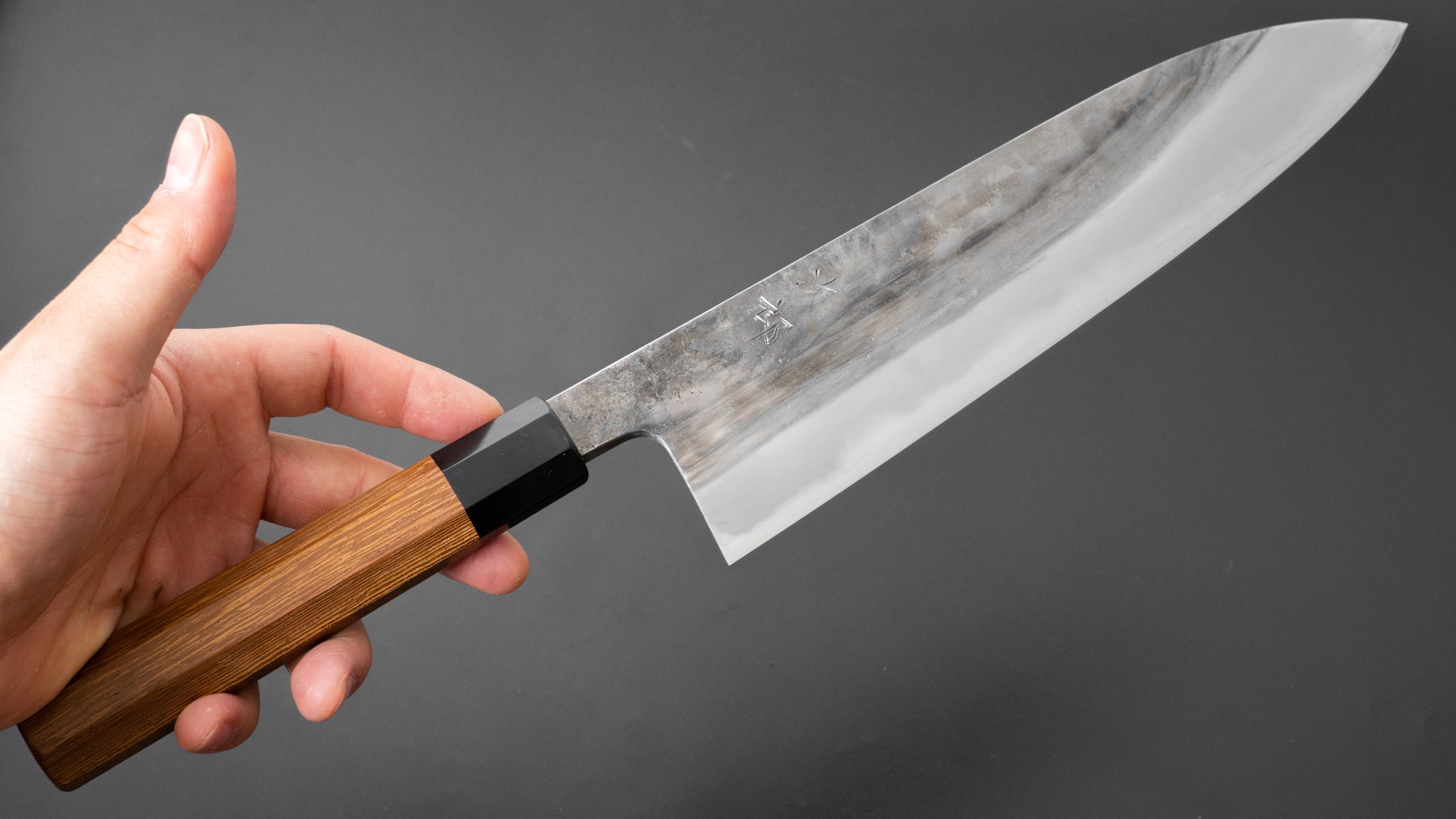 Premium Jiro Tsuchime Wa Gyuto 240mm Japanese Chef Knife with Taihei Tagayasan Handle - Perfect for Professional Chefs & Home Cooking Enthusiasts