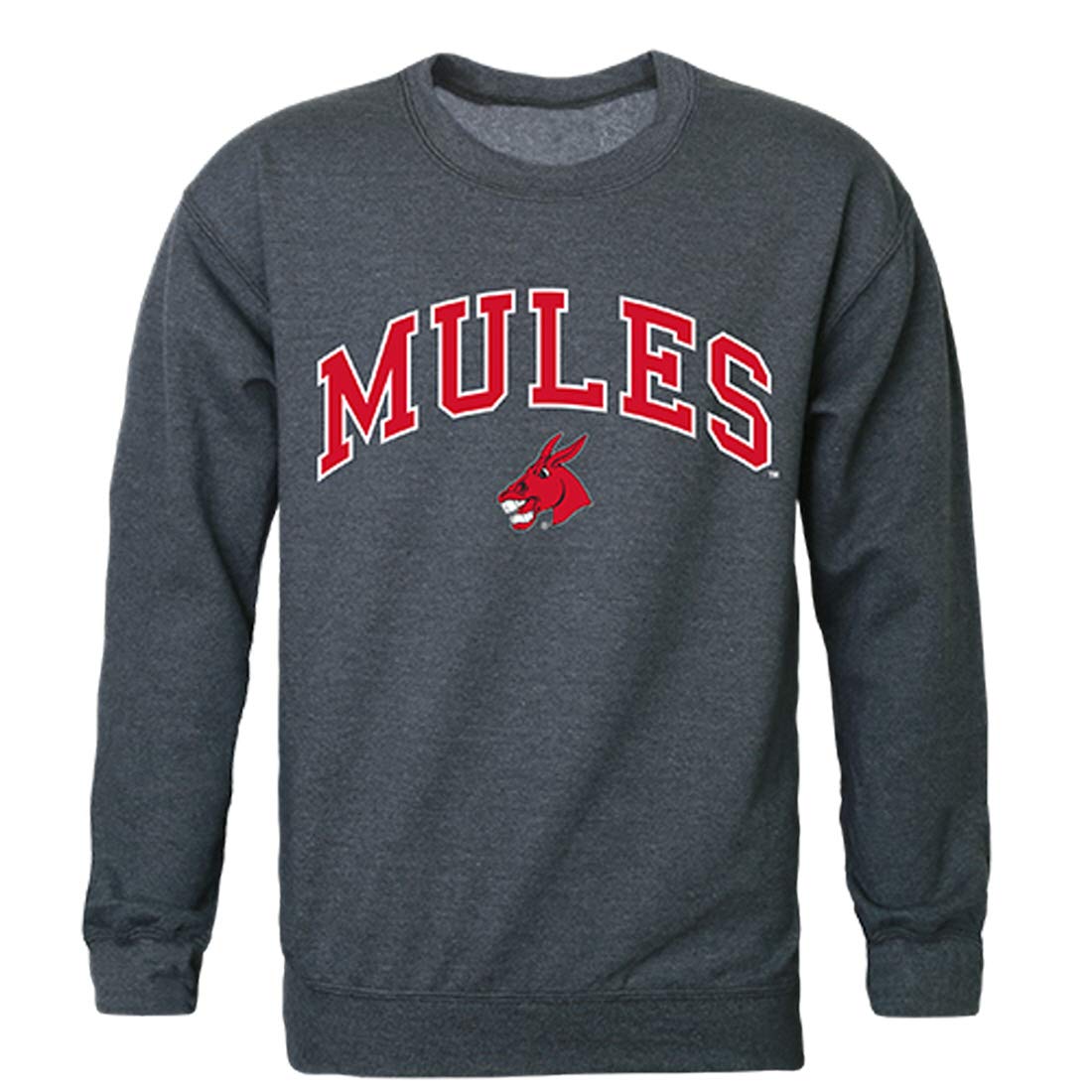 UCMO Central Missouri Mules NCAA Campus Crewneck Sweatshirt - XX-Large, Heather Charcoal - Comfortable College Apparel for Game Day & Campus Life