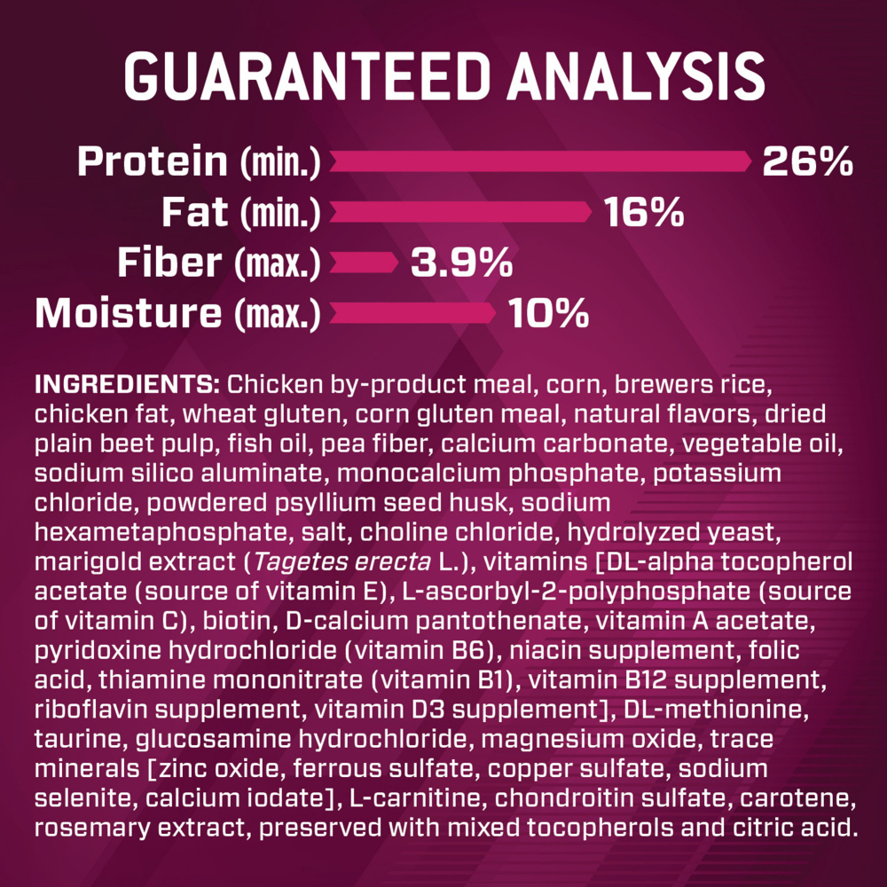 Eukanuba Premium Performance 26/16 High Protein Dry Dog Food for Active Dogs - Ideal for Running, Hiking & Athletic Training