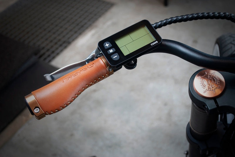 Rayvolt Clubman - Stylish and Durable Electric Bike for Urban Commuting | Perfect for City Rides, Eco-Friendly Transportation & Outdoor Adventures