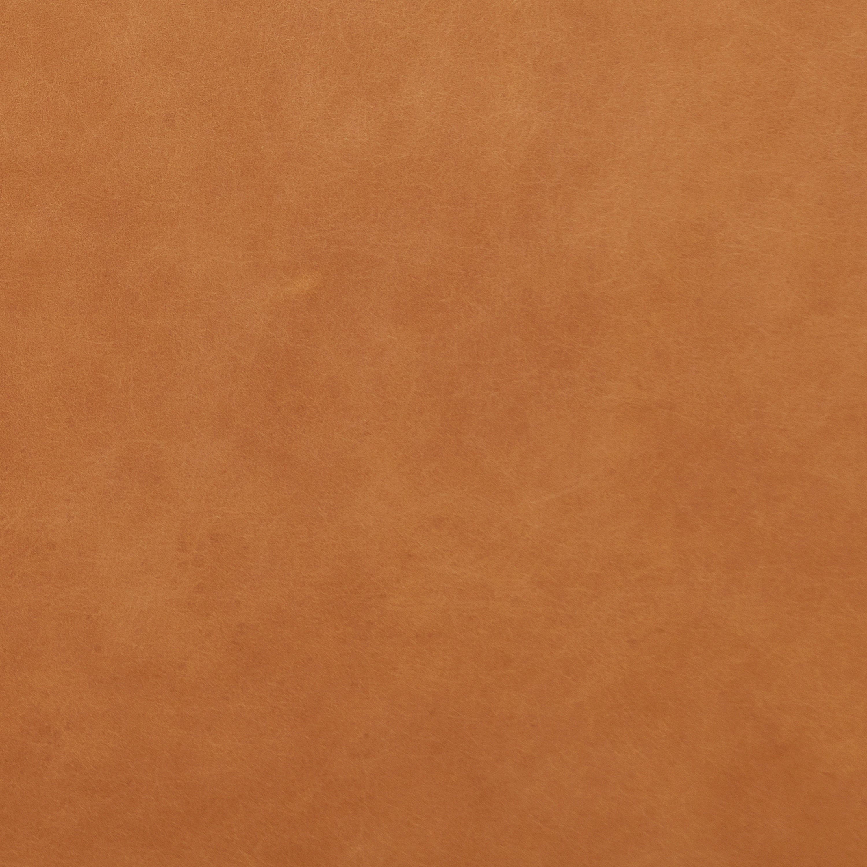 Chocolate Brown