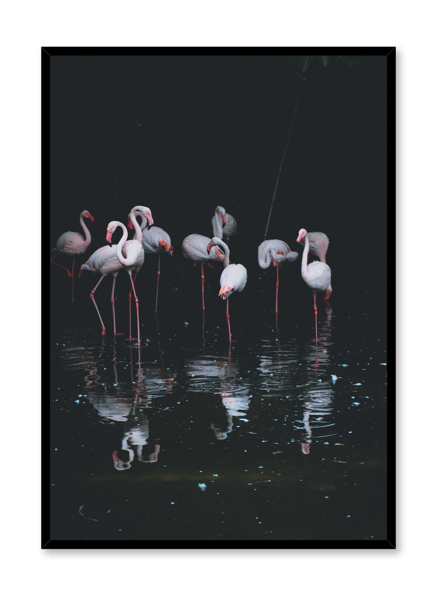 Vibrant Pink Flamingos Wall Art Poster - Tropical Decor for Living Room, Bedroom & Office - Perfect for Beach House & Boho Style Home