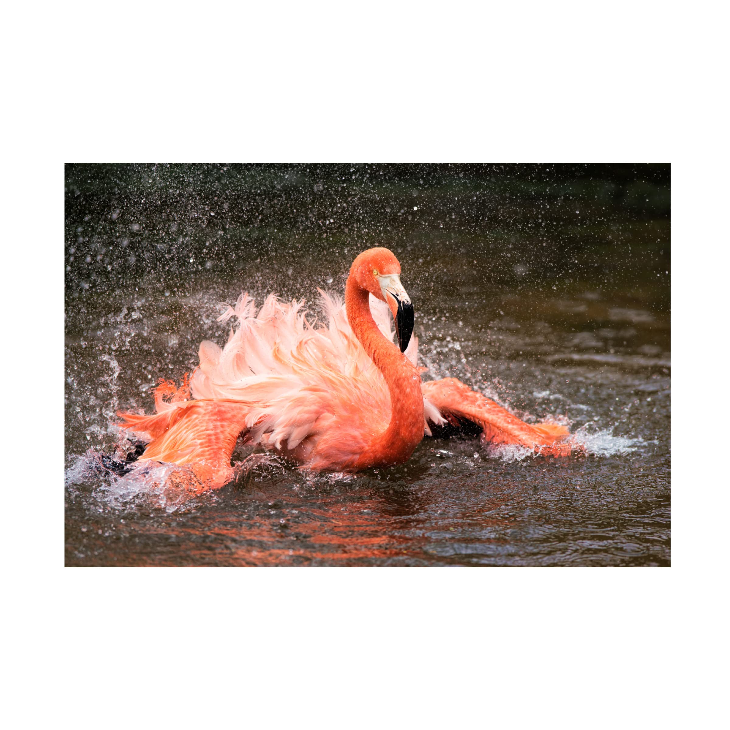 Trademark Fine Art 'Bath' Canvas Wall Art Print by John Fan - Elegant Home Decor for Living Room, Bedroom & Office