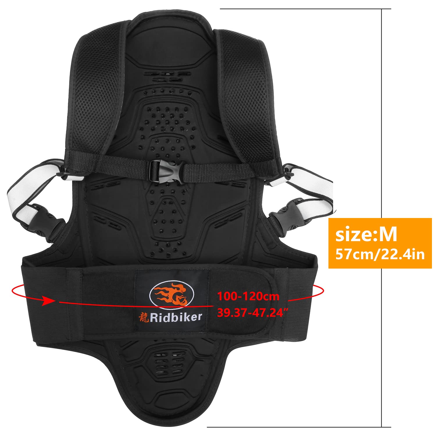 RIDBIKER Motorcycle Back Protector - Motocross Spine Protector Body Armor for Racing, Riding & Snowboarding | Anti-Fall Protective Gear for Motorcycles, Dirt Bikes & Extreme Sports