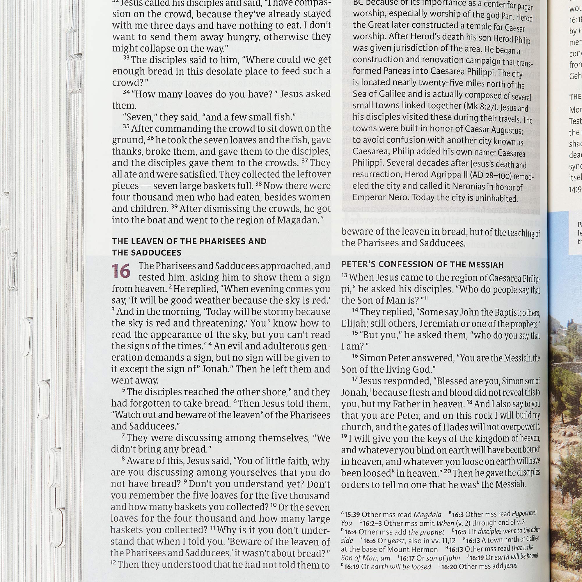 Holy Land Illustrated Bible - LeatherTouch, Indexed, Full-Color | Perfect for Bible Study & Travel